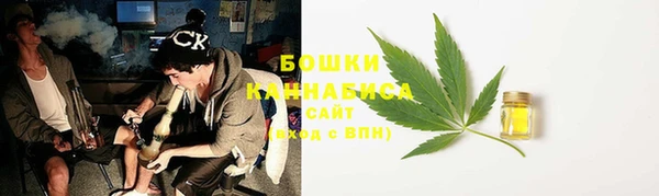 Альфа ПВП Лиски