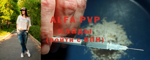 твердый Кирс