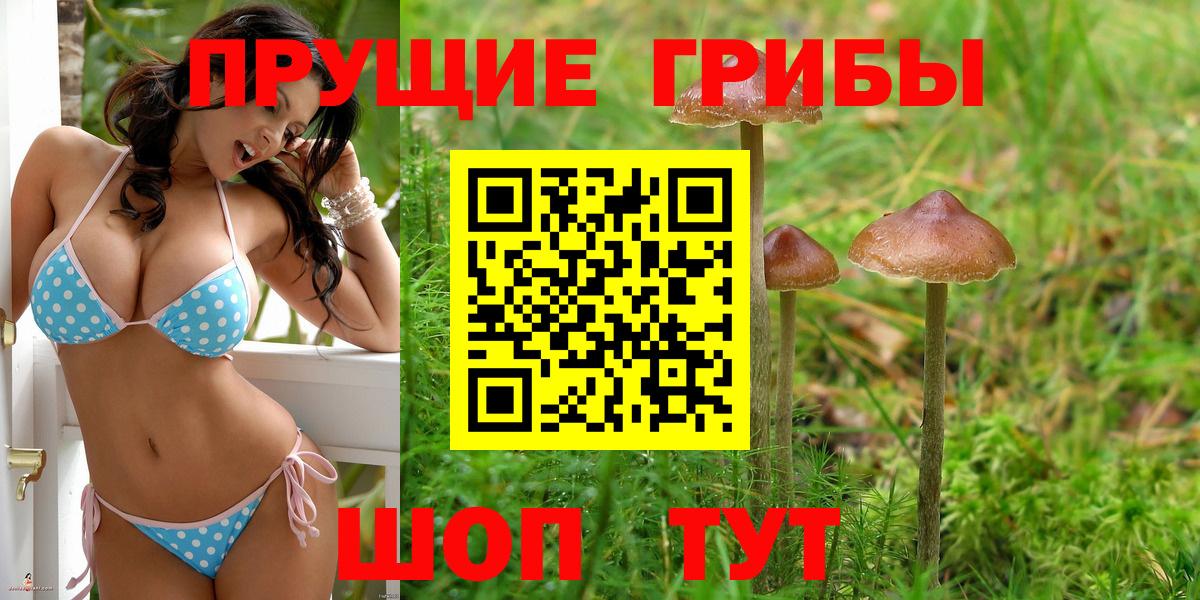 Галлюциногенные грибы Psilocybe Малоярославец