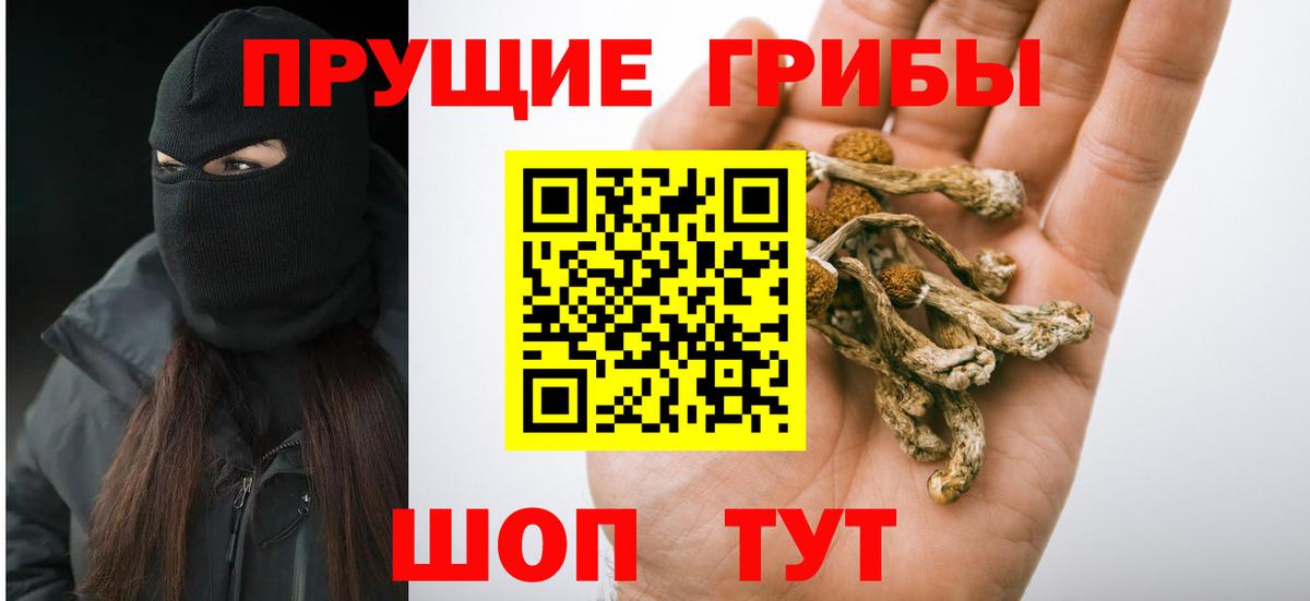 Малоярославец  Псилоцибиновые грибы Psilocybe  Вход с VPN 
